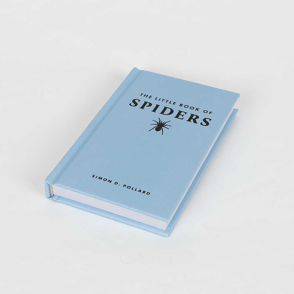 Little book of spiders on white background