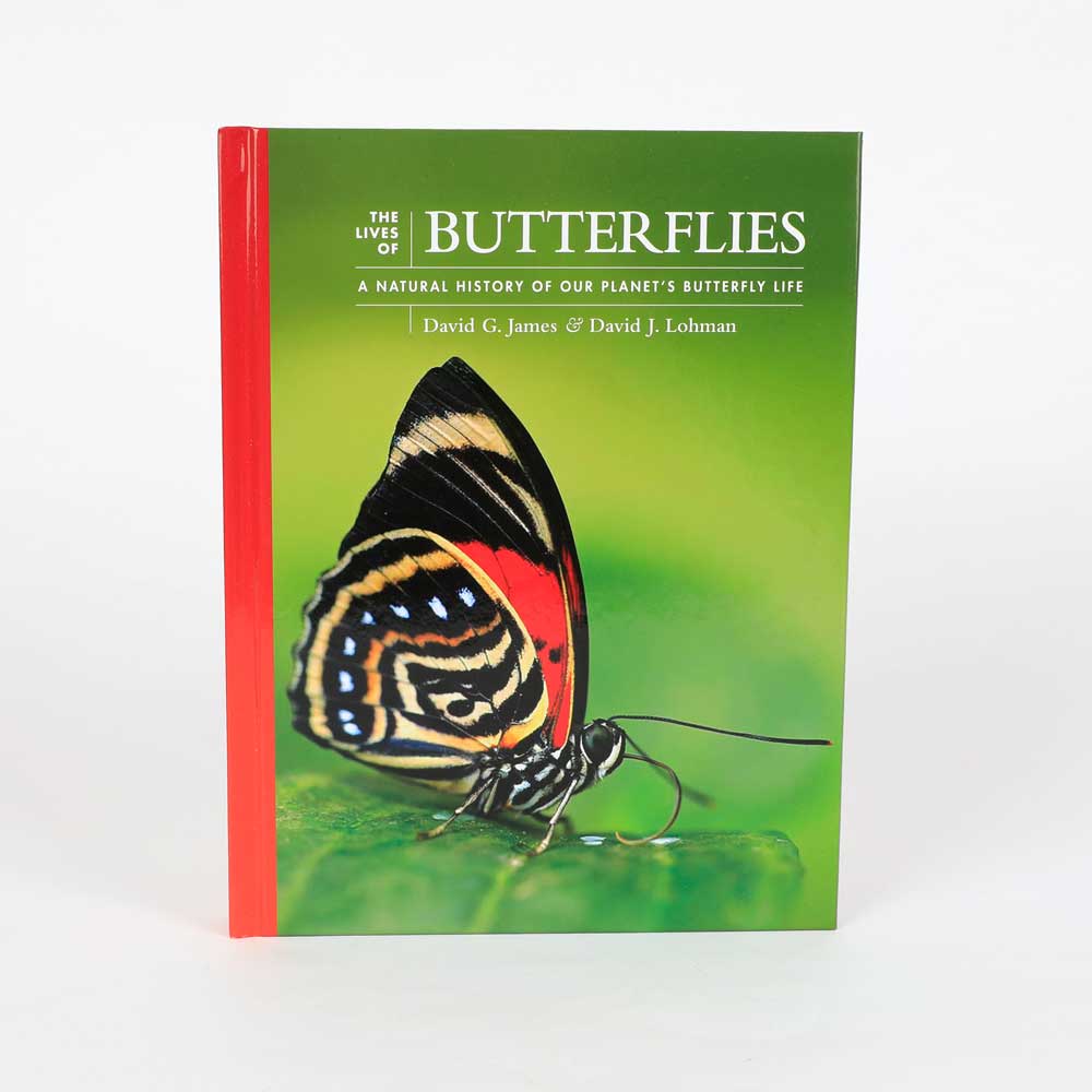 the Lives of Butterflies, a natural history of our planets butterfly life. Book photographed on white background