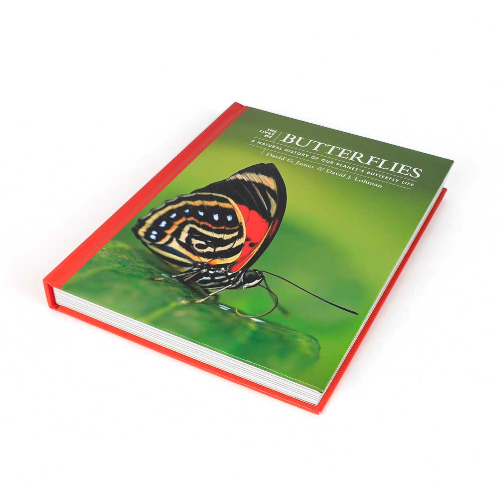 the Lives of Butterflies, a natural history of our planets butterfly life. Book photographed on white background