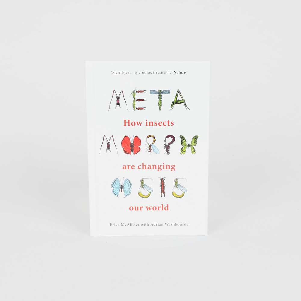 Metamorphosis book on white background