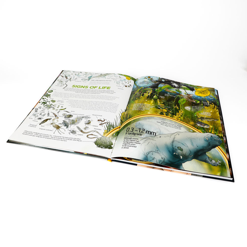 Myke Mollards Mini to Maxi. Hardcover colourful picture book for nature loving children on white background