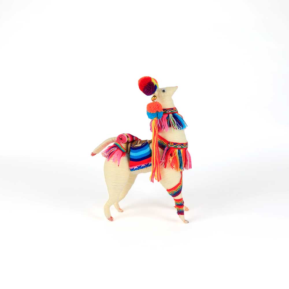 Colourful Spun Wool Llama on white background