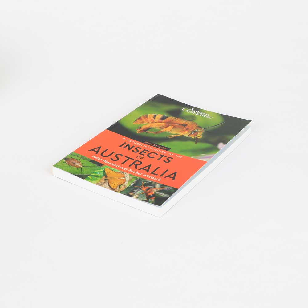 Insects of Australia – Australian Museum Shop