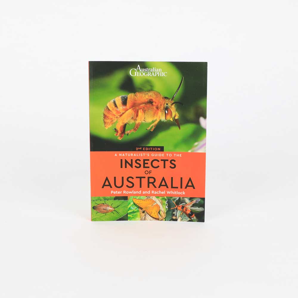 Insects of Australia – Australian Museum Shop