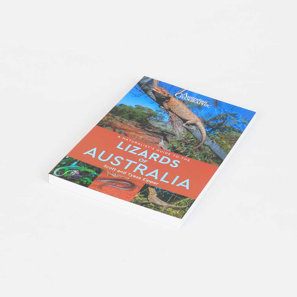 Naturalists guide to the lizards of Australia book on white background