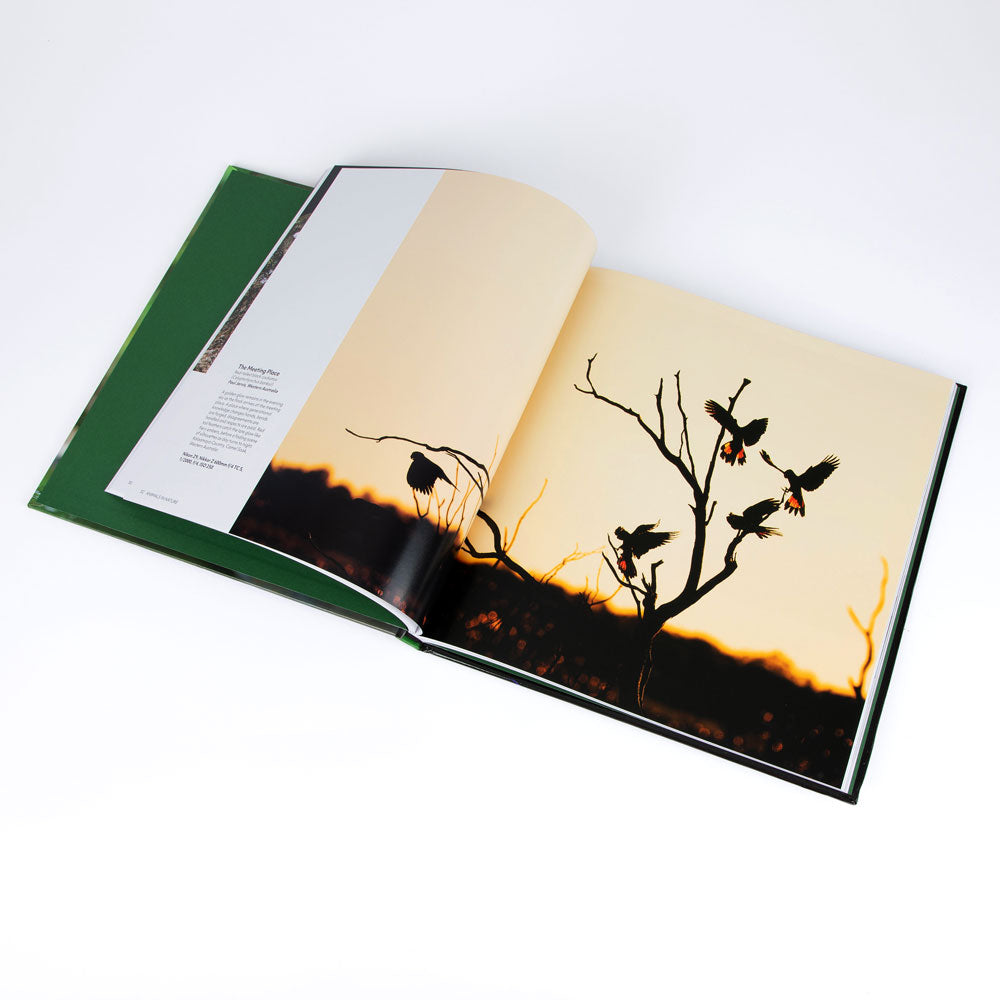 Nature photographer of the year Catalogue Book open on internal pages, on white background