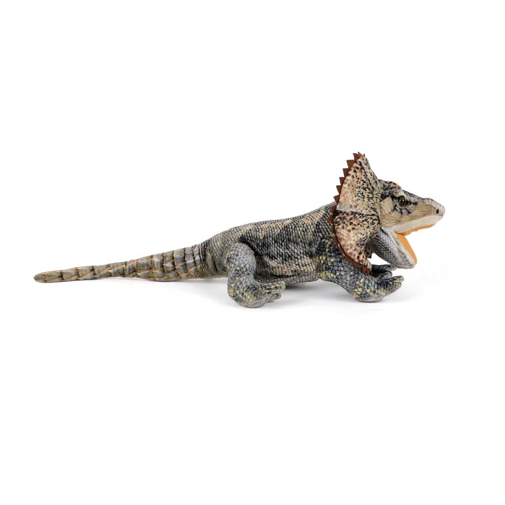 Frill Necked Lizard plush toy Australian Museum Shop online