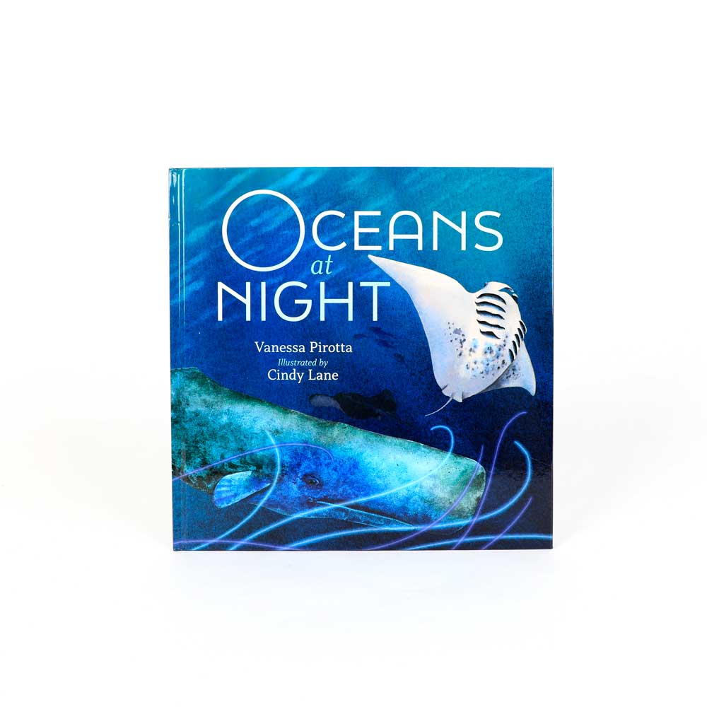 Oceans at night book on white background