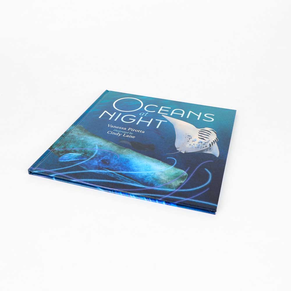 Oceans at night book on white background