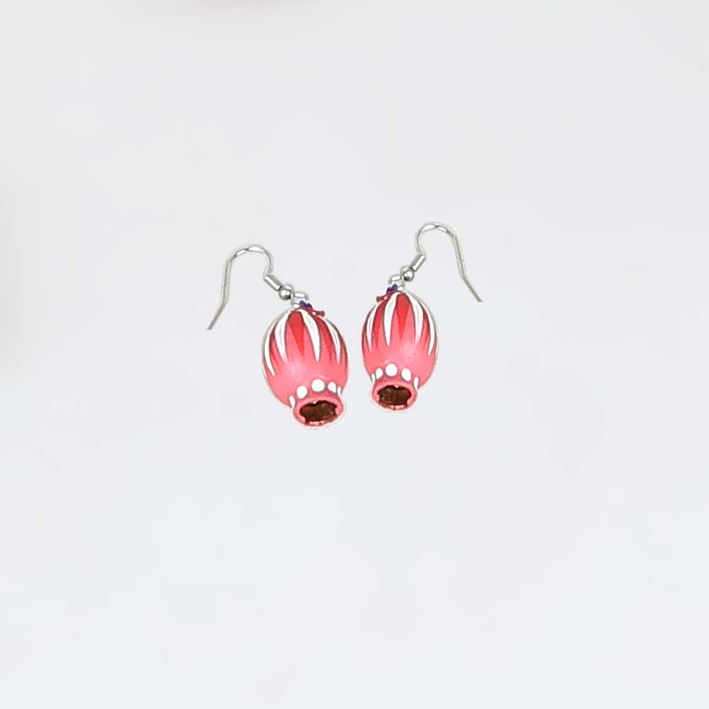 Painted seed earrings on white background