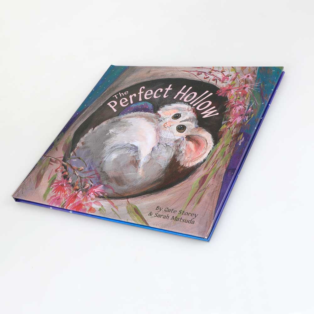The Perfect Hollow rhyming children's book photographed on white background for Australian Museum Shop online