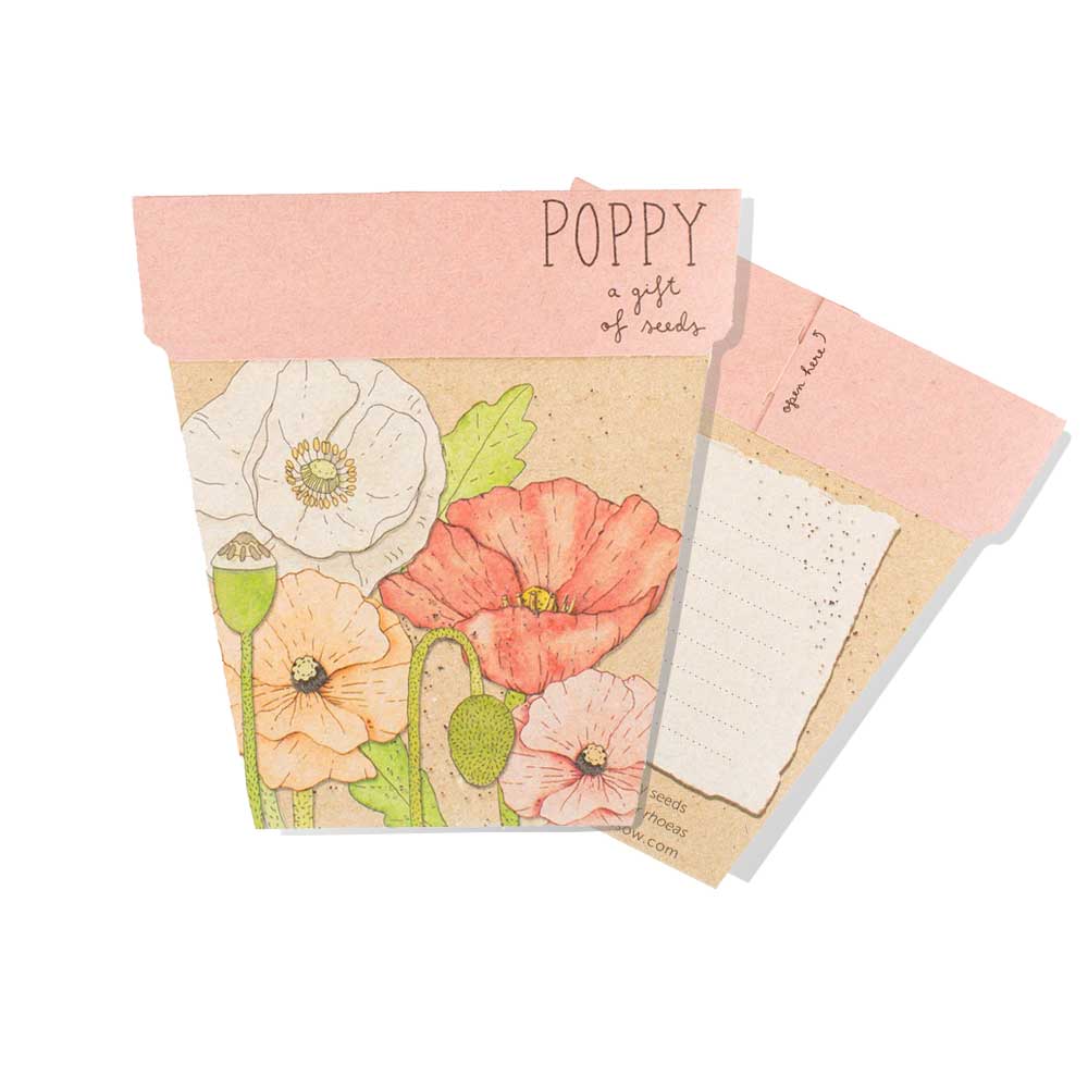 Poppy seeds kit on white background. Australian Museum Shop online