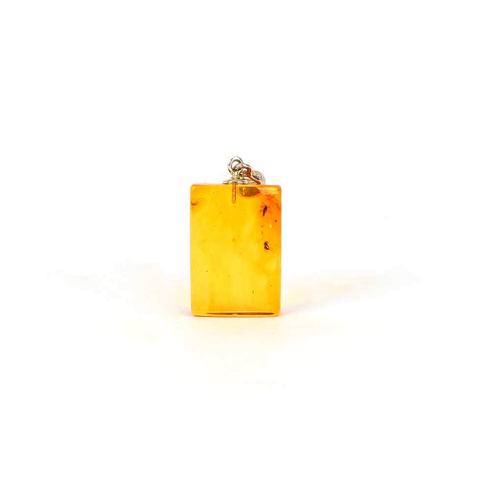 Rectangle Amber Pendant With Mosquito and Larvae on white background