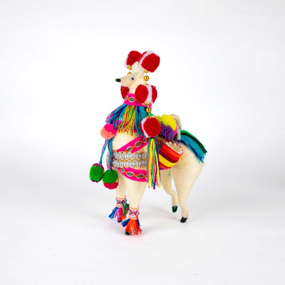 Colourful Spun Wool Llama on white background