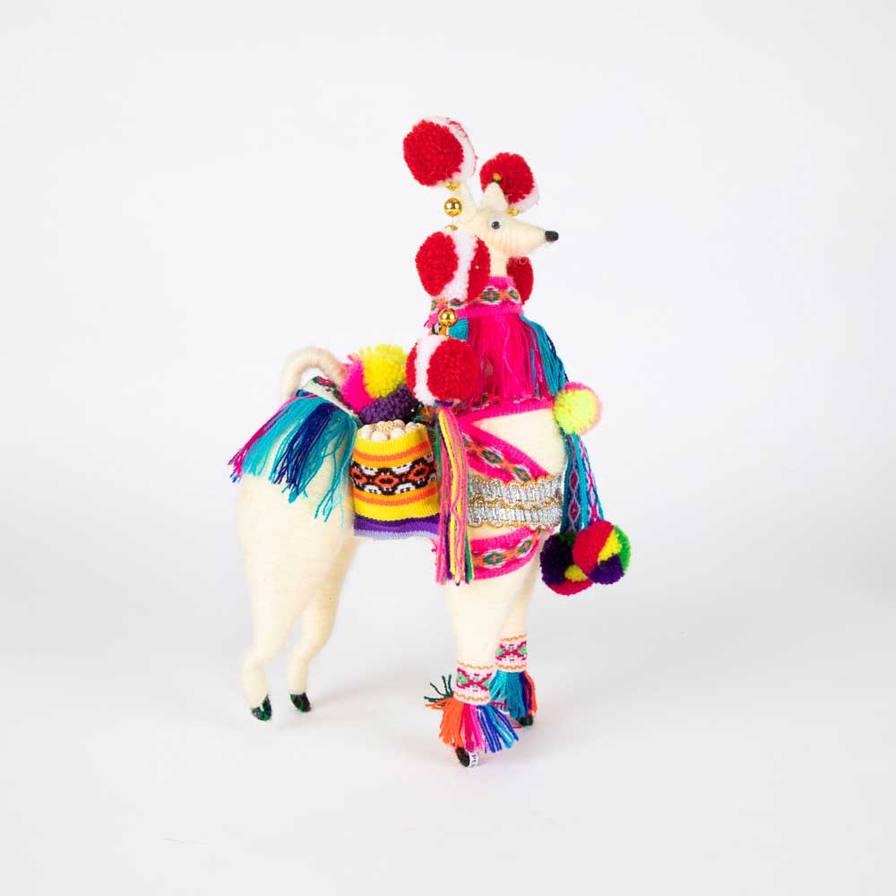 Colourful Spun Wool Llama on white background