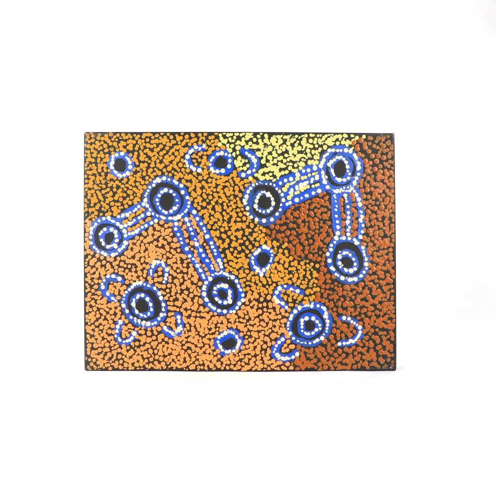 Hand-Painted Aboriginal Art on Canvas 40x30cm on white background