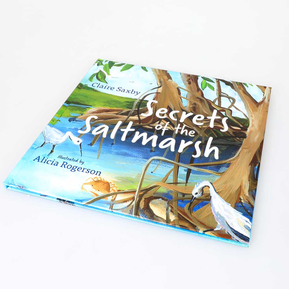 Secrets Of The Saltmarsh book on white background