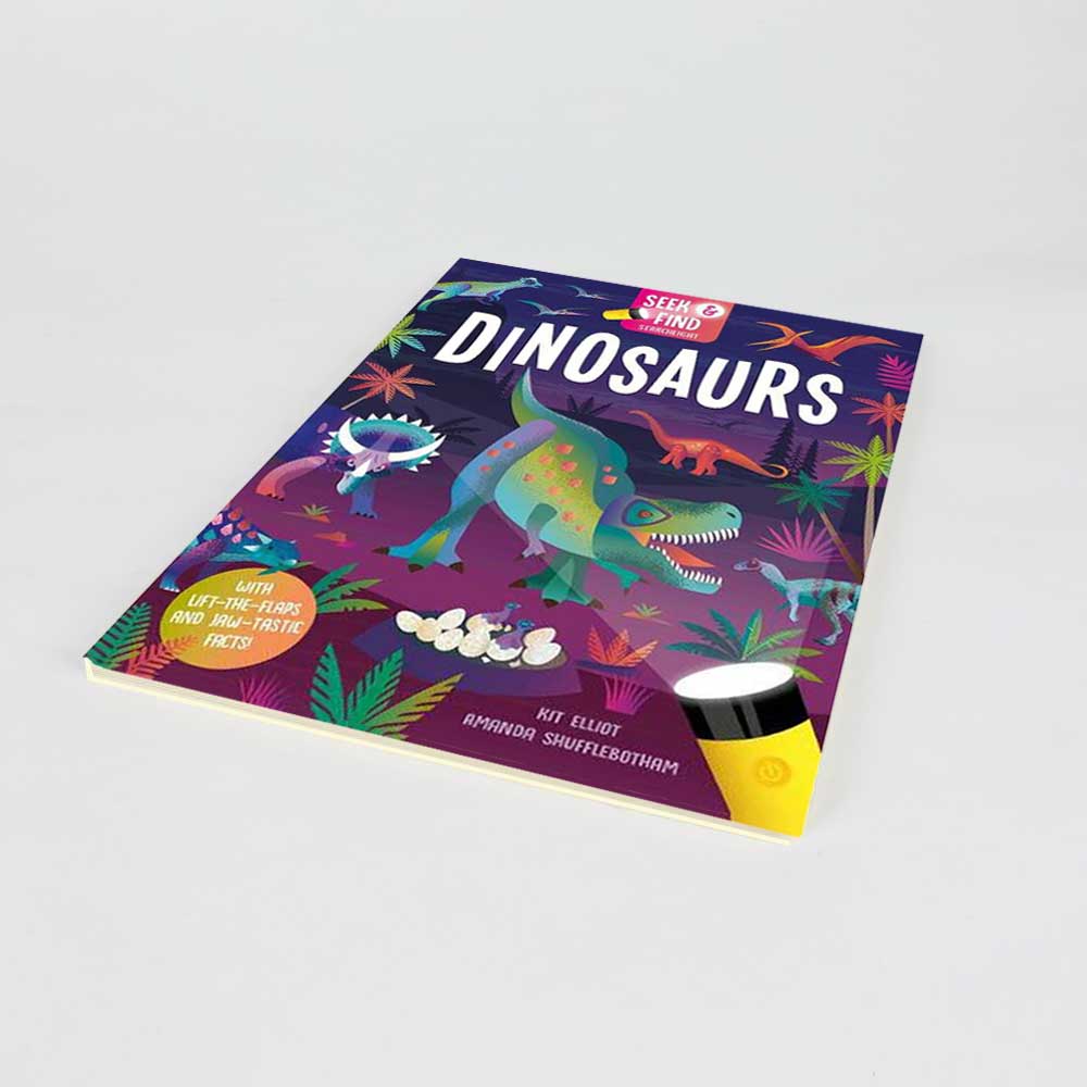 Dinosaurs Seek and Find book on white background