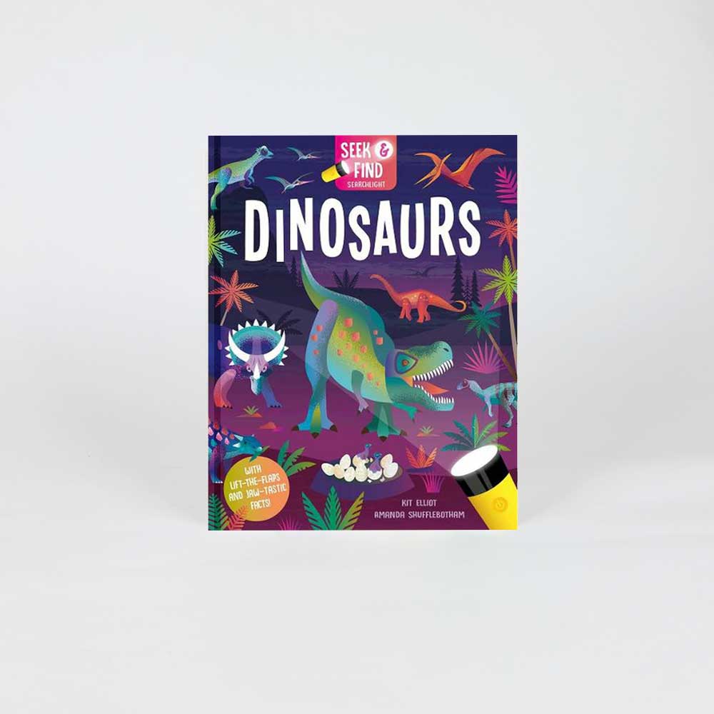 Dinosaurs Seek and Find book on white background