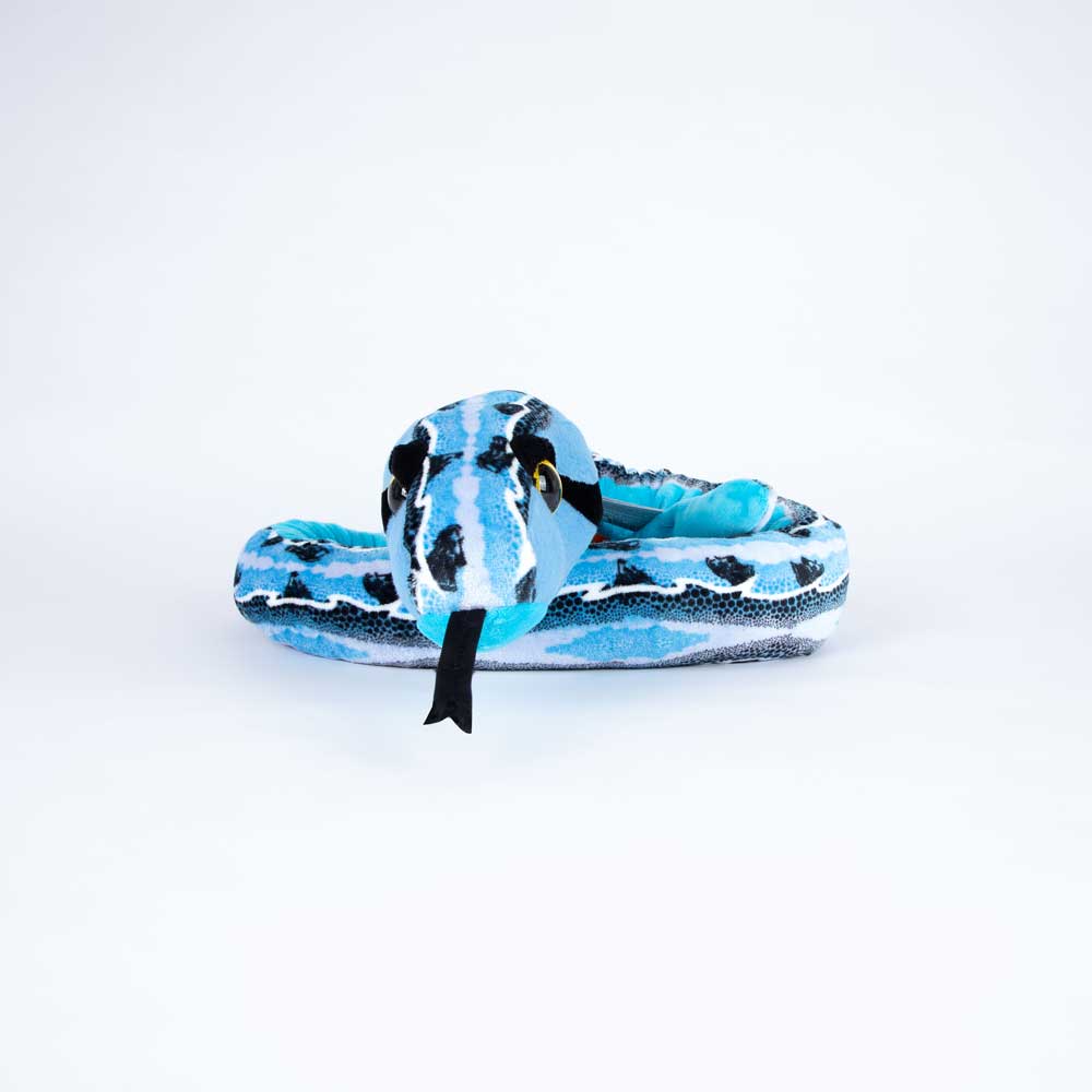 Slipstream Blue plush snake, sleeping on a white background for Australian Museum Shop online