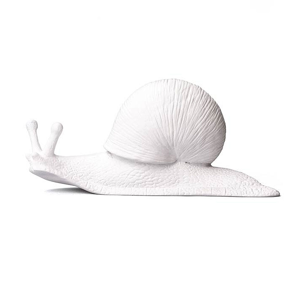 White Snail wall hanger photographed on white background. Australian Museum shop online
