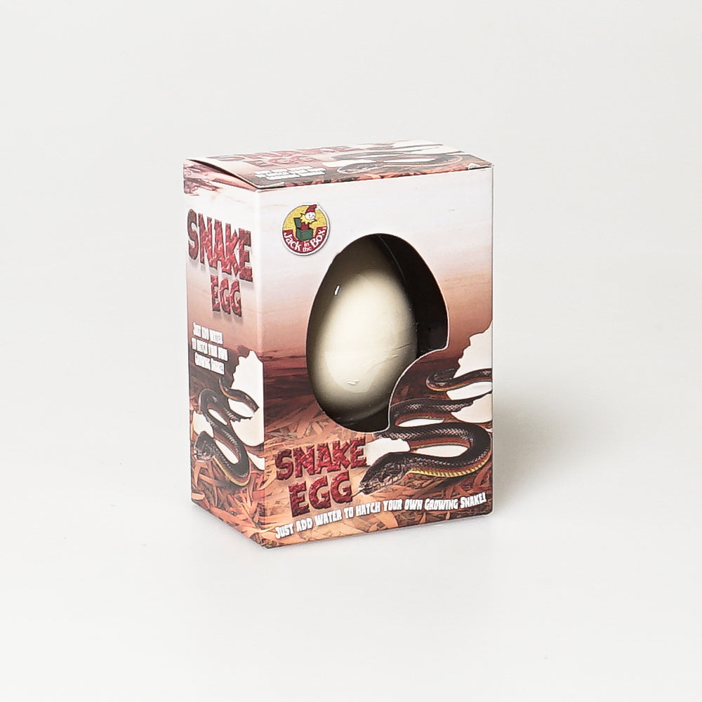 Snake egg growing pet on white background for Australian Museum Shop online