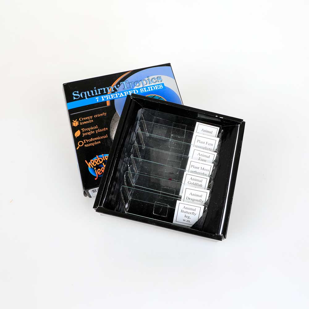 Prepared microscope slides photographed on white background. Australian Museum Shop online