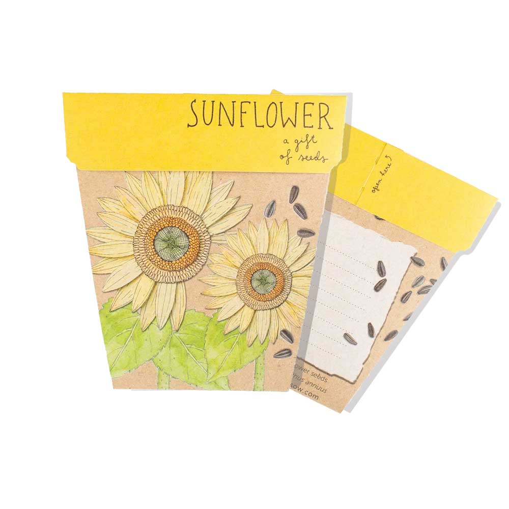 Sunflower seeds kit on white background. Australian Museum Shop online