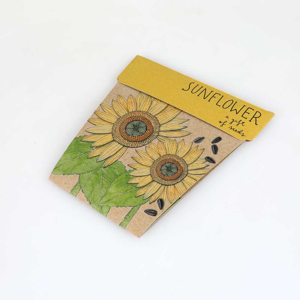 Sunflower seeds kit on white background. Australian Museum Shop online