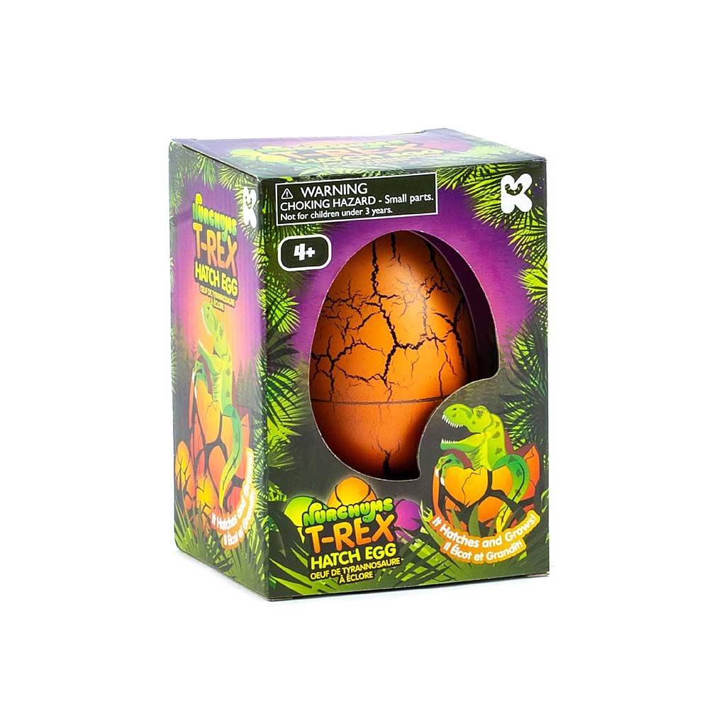 Dinosaur Hatching Egg on white background for the Australian Museum Shop online