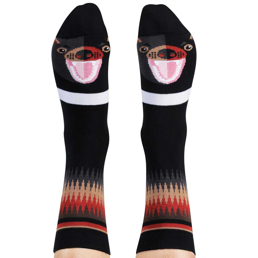 Tasmanian Devil Wilson Payne socks on white background