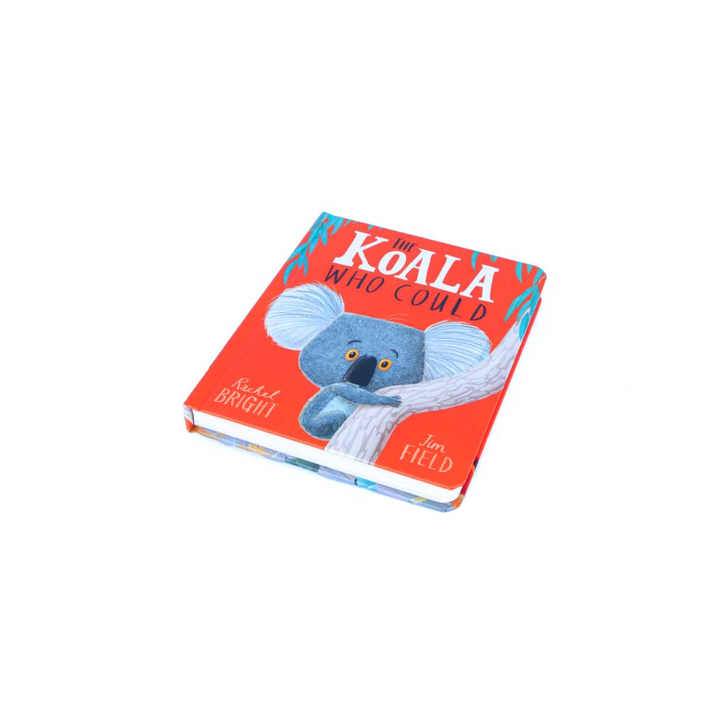 the koala who could book on white background