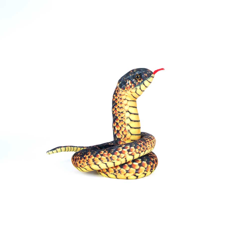 Gane the Plush Tiger Snake on white background