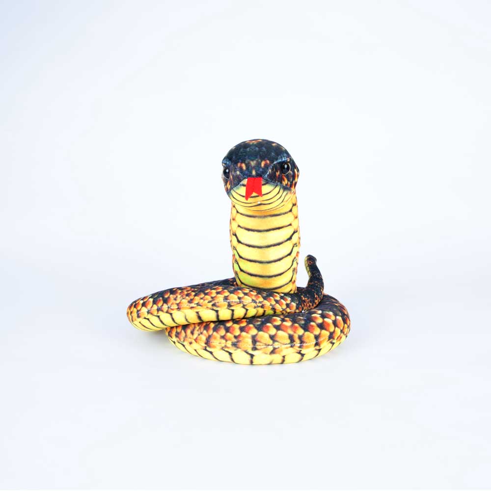 Gane the Plush Tiger Snake on white background