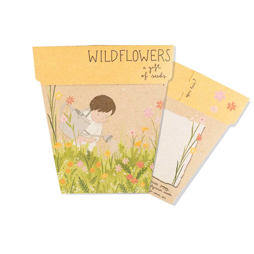 Wildflowers seeds kit on white background. Australian Museum Shop online