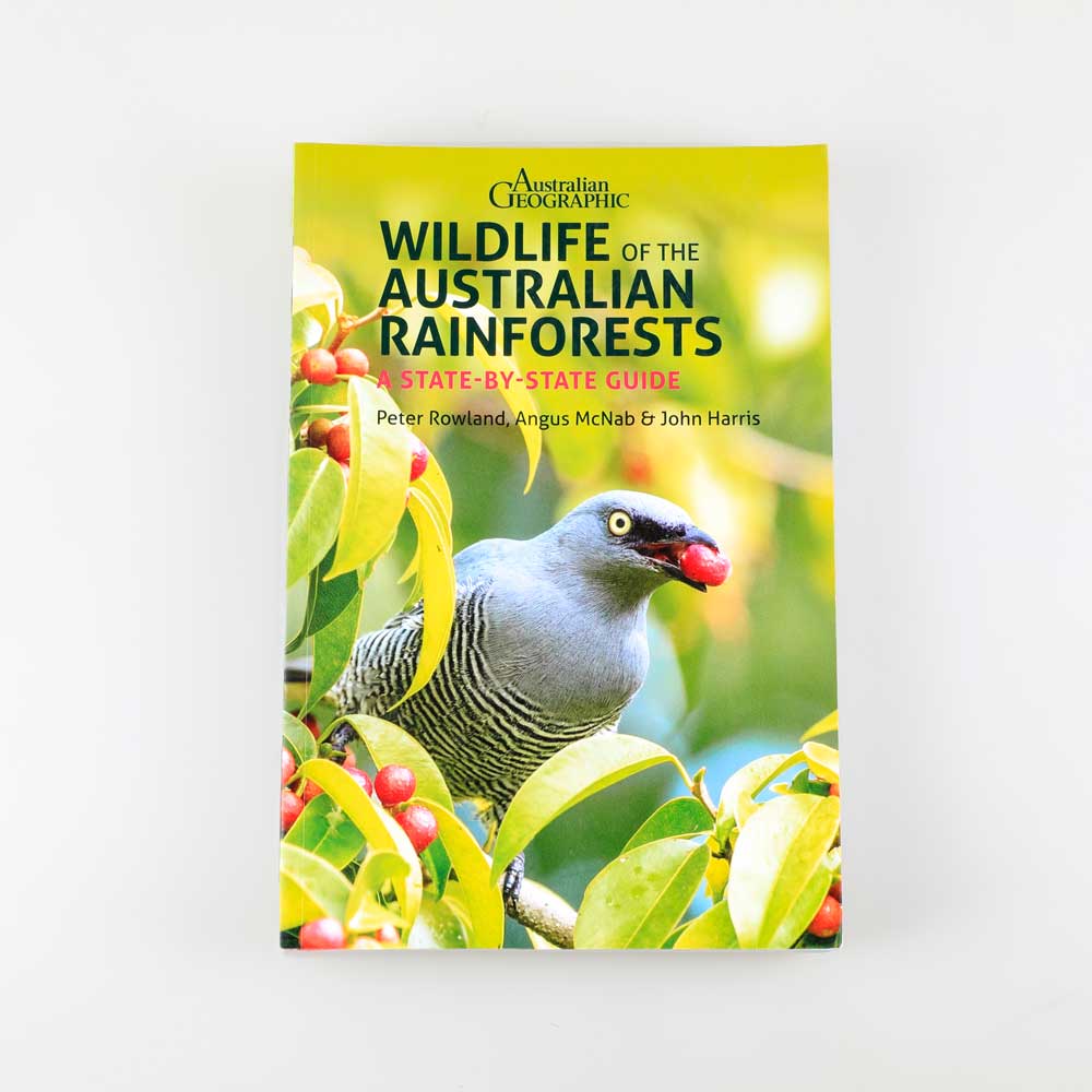 Wildlife of the Australian Rainforests state by state photographed on white background. Australian museum shop online