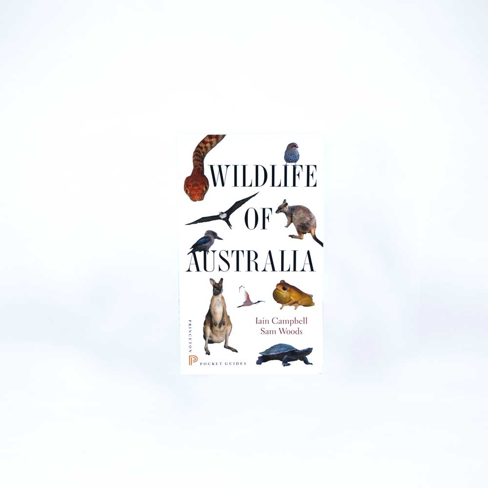 Wildlife of Australia book on white background