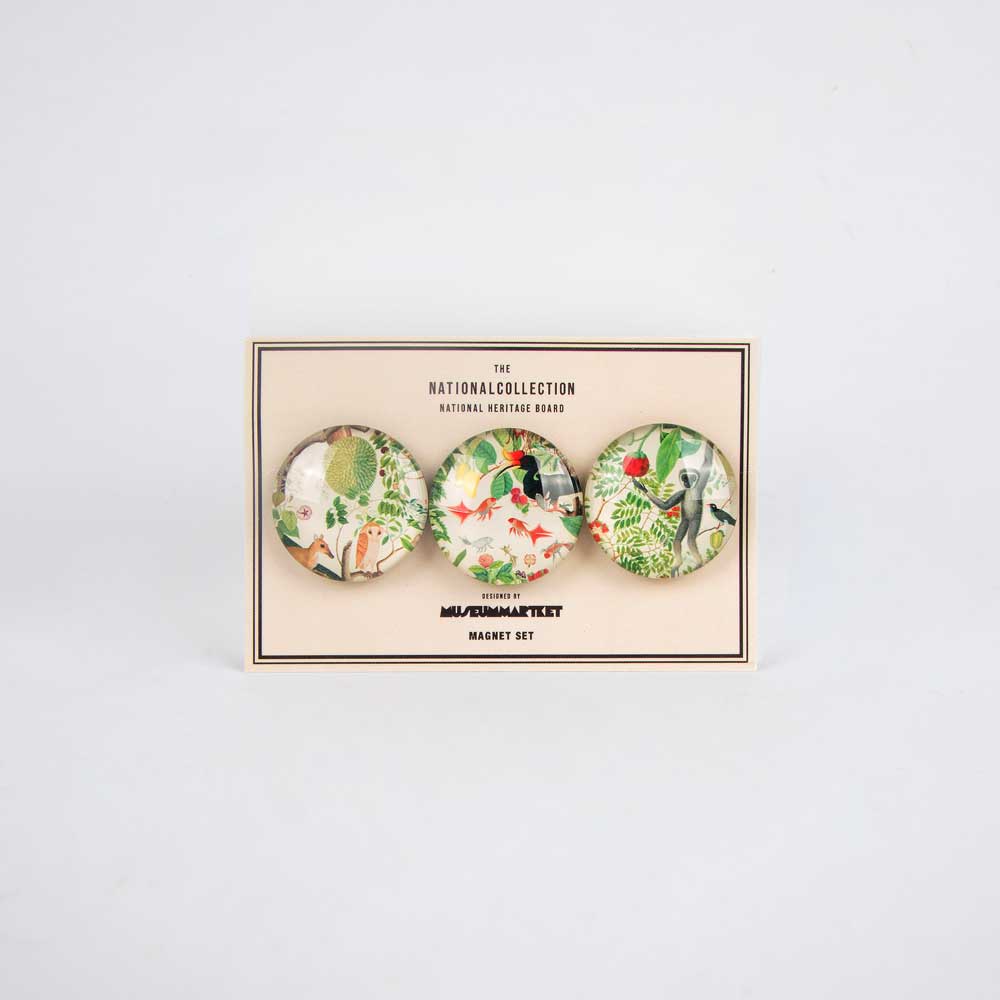 3-pack of magnets featuring illustrations from the William Farquhar collection