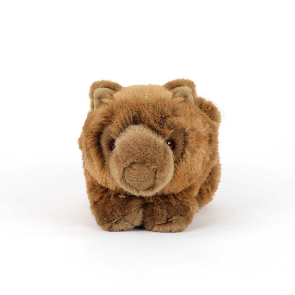 Wombat plush toy on white background for austalian Museum Shop online