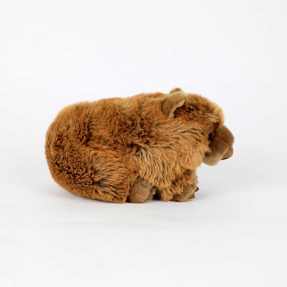 Wombat plush toy on white background for austalian Museum Shop online