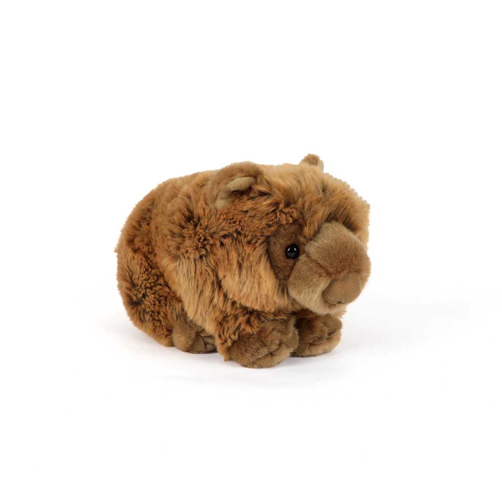 Wombat plush toy on white background for austalian Museum Shop online