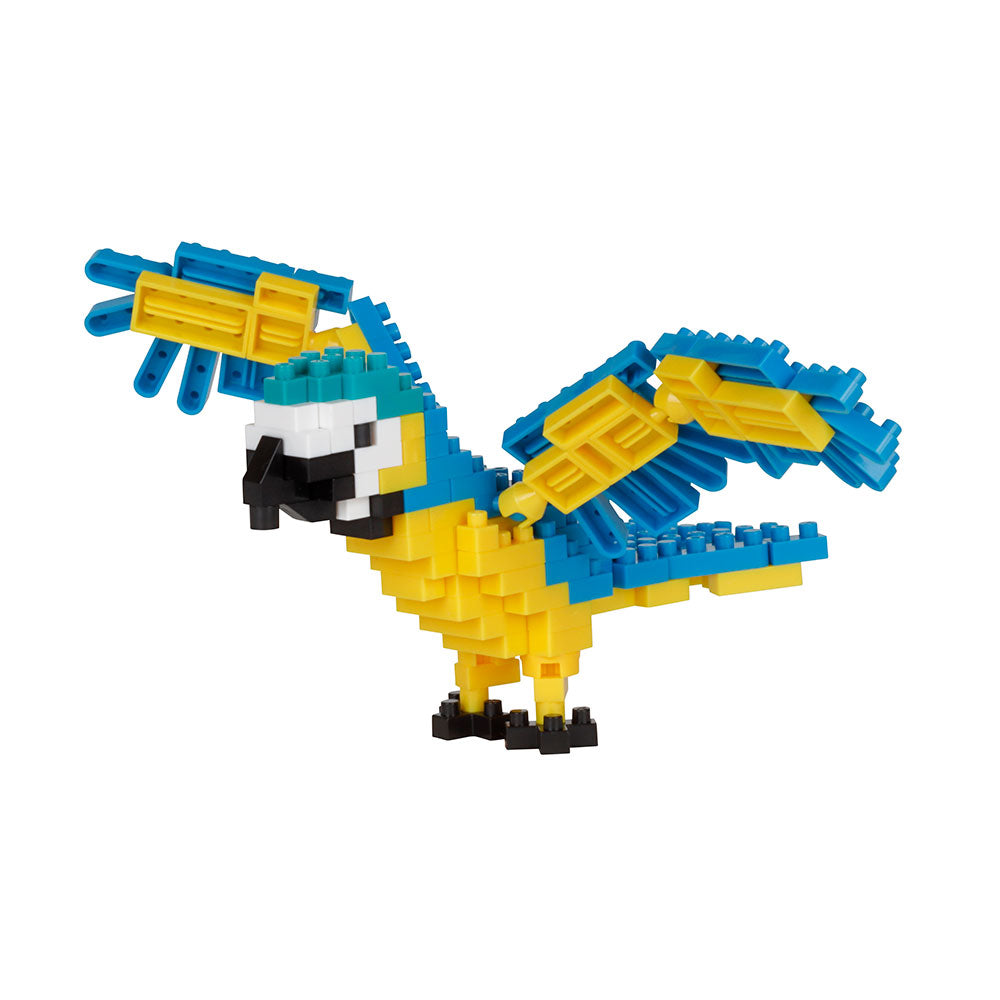 Blue and yellow macaw nanoblock. Photographed on white. Australian Museum shop online