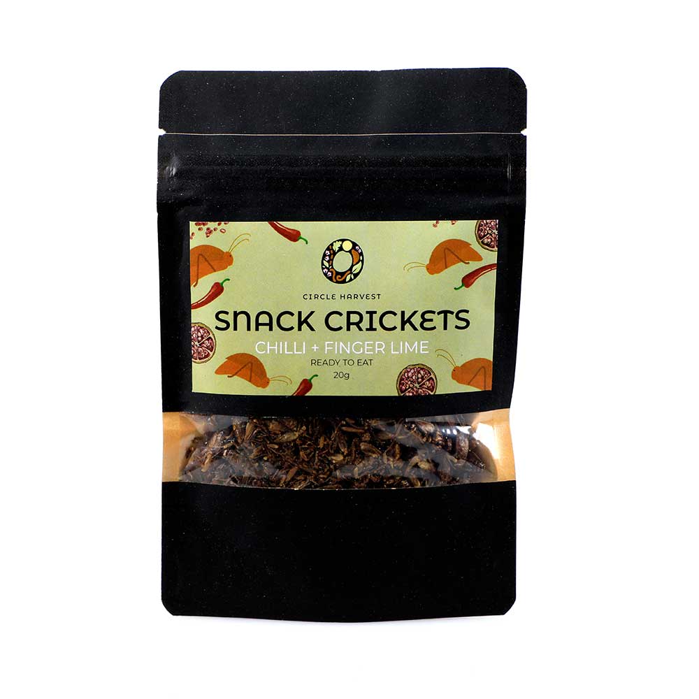 Snack crickets Australian Museum Shop online