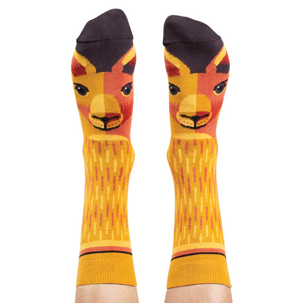 Red Kangaroo socks on white background