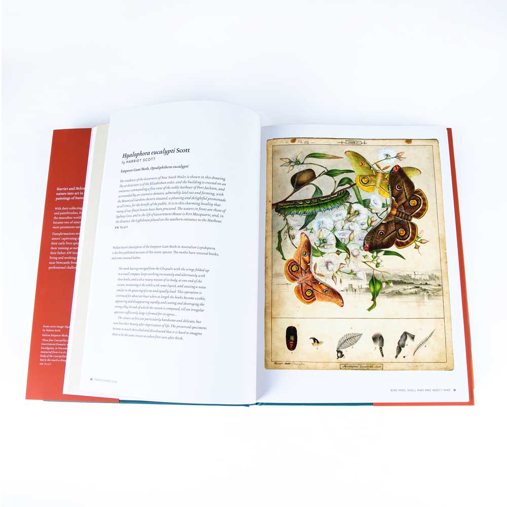 Transformations: the story of Harriet and Helena Scott, colonial Sydney's finest natural history painters, hardcover book on white background. Flatlay photographed