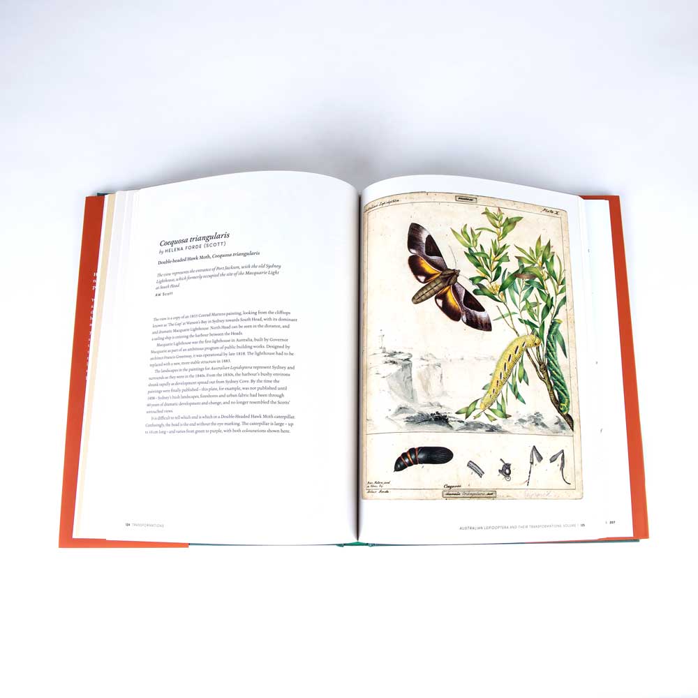 Transformations: the story of Harriet and Helena Scott, colonial Sydney's finest natural history painters, hardcover book on white background. Flatlay photographed