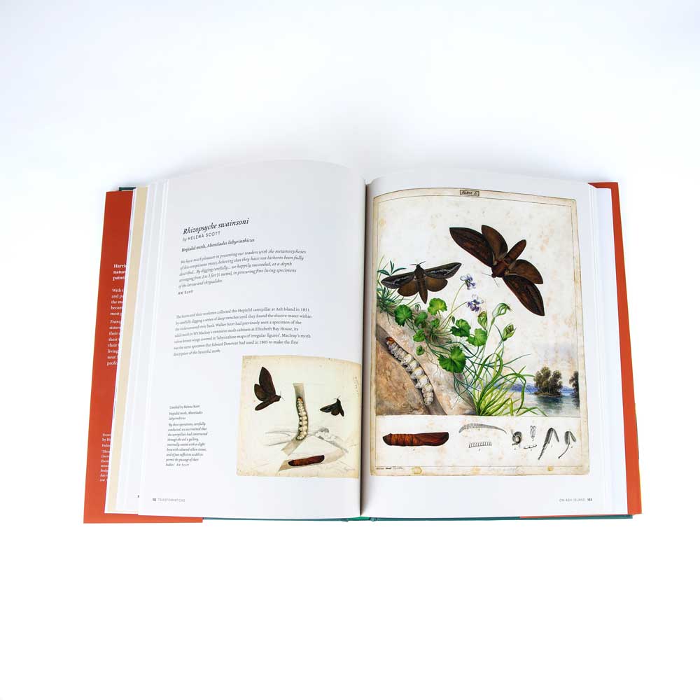 Transformations: the story of Harriet and Helena Scott, colonial Sydney's finest natural history painters, hardcover book on white background. Flatlay photographed