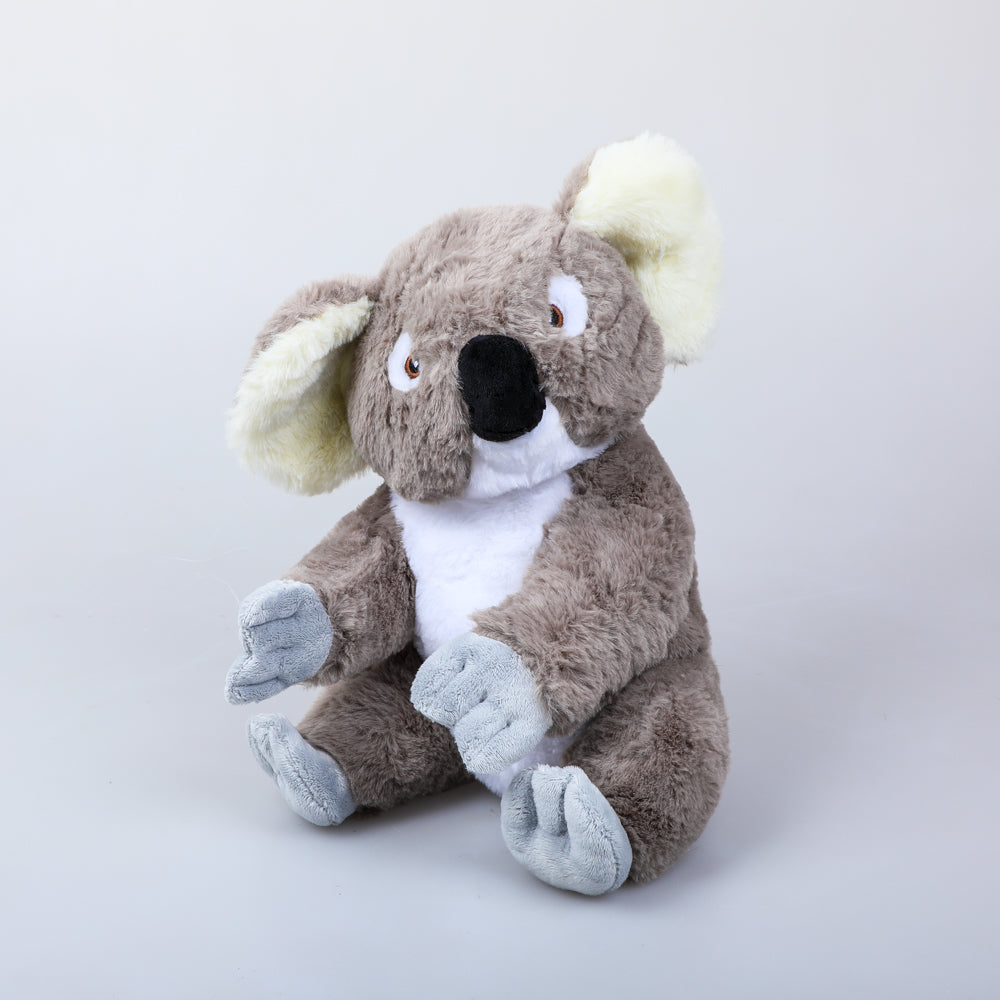 Ecokins 8-inch plush koala photographed on white background Australian Museum Shop online
