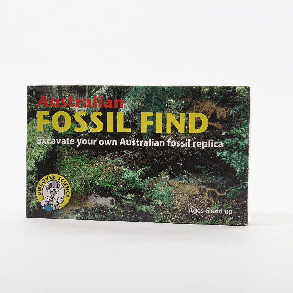 Fossil find excavation kit photographed on white background for Australian Museum Shop online