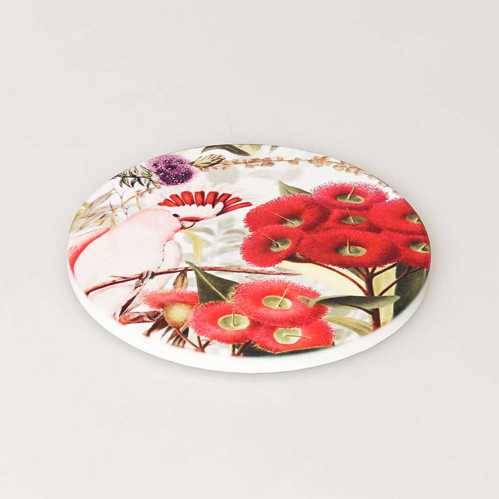Koh living ceramic coaster photographed on white background. Australian Museum Shop online